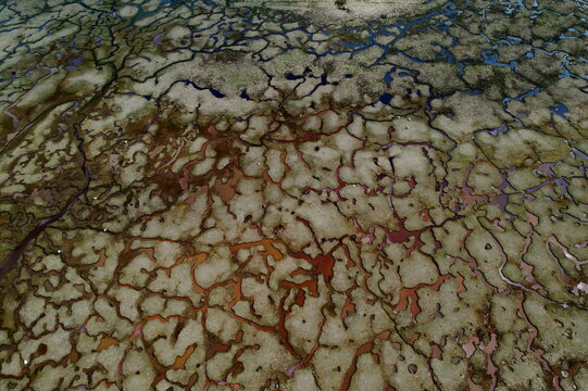 Aerial view of a complex network of dark water channels across a textured, earthy landscape, Lochgilphead, Scotland, United Kingdom.