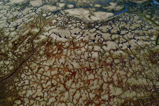 Aerial view of an intricate, organic network of dark, winding water channels carving through muted green and brown marshland, Lochgilphead, Scotland, United Kingdom.