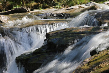 Obraz premium Pádis mountain stream waterfall