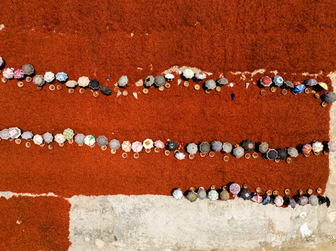 Aerial view of vibrant red chilies spread out in geometric patterns, contrasted by the pale ground and people with colorful umbrellas, Sariakandi, Rajshahi Division, Bangladesh.