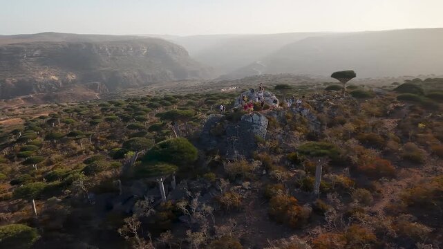 Aerial rocky hills with dragon blood trees at golden hour. Firmihin Dragon's Blood Tree Forest, Sokotra Yemen.