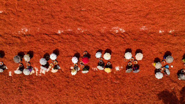 Aerial view of a vast crimson expanse dotted with a vibrant canopy of colorful umbrellas, creating a striking textural contrast, Sariakandi, Rajshahi Division, Bangladesh.