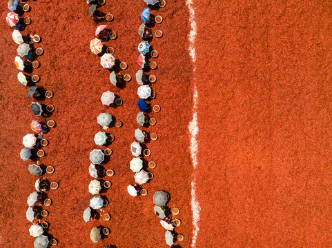 Aerial view of colorful umbrellas in neat lines on a reddish-brown field with a white boundary, Sariakandi, Rajshahi Division, Bangladesh.