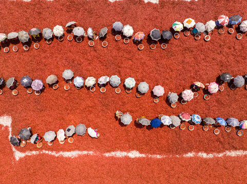 Aerial view of tiny figures under colorful umbrellas creating ordered yet flowing lines across a vibrant red expanse, Sariakandi, Rajshahi Division, Bangladesh.