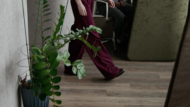 Low section shot of legs of unrecognizable businesswoman in stylish burgundy trousers walking on wooden floor in front of mirror in office decorated with lush green plant