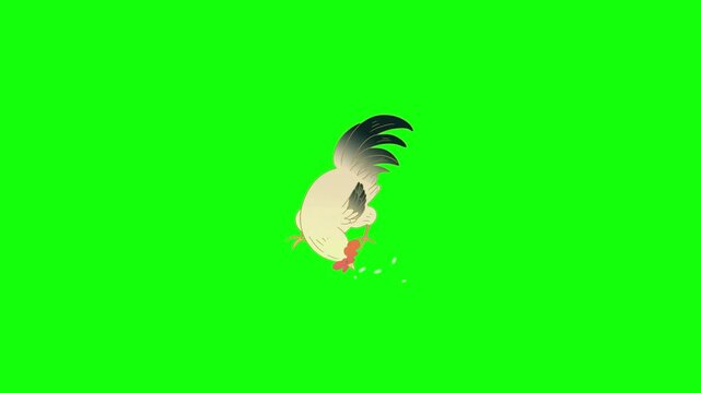  A 2D animated video of a male chicken rooster feeding on a bright green background. The rooster bends down to peck at scattered grains, lifts its head, and repeats the motion naturally. Cream-colored