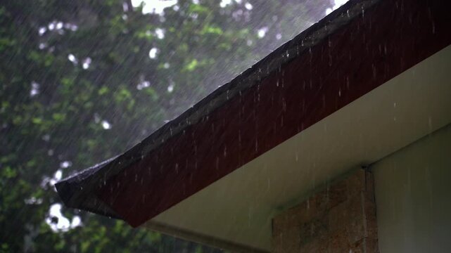 Heavy Tropical Rain Pouring Off Roof Edge During Downpour