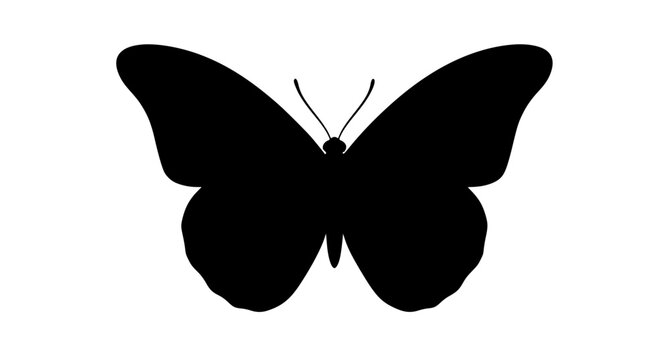 Colorful detailed butterfly isolated vector illustration with symmetrical wings and decorative pattern design