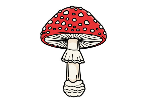 Iconic red and white spotted toadstool mushroom illustration
