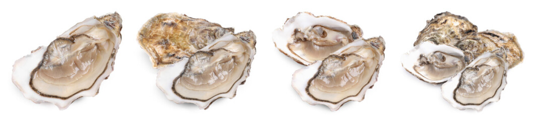 Fresh oysters isolated on white, set. Open and closed © New Africa