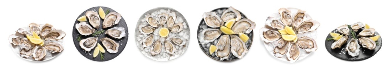 Fresh oysters served with lemon isolated on white, set. Top and side view © New Africa
