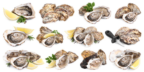 Fresh oysters isolated on white, set. Open and closed © New Africa