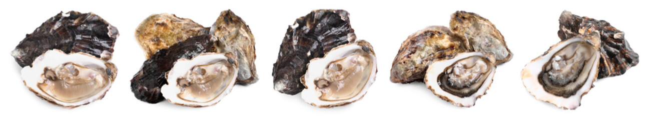 Fresh oysters isolated on white, set. Open and closed © New Africa