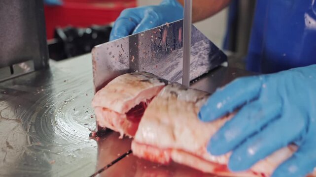 Industrial Fish Processing: Frozen Salmon Fillet Cutting