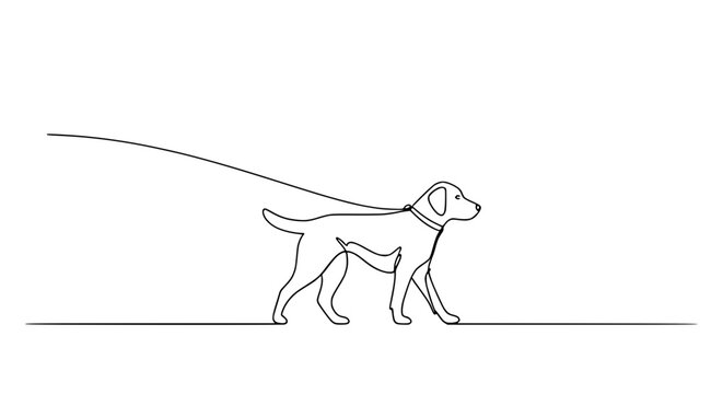Continuous line drawing of a dog walking on a leash, minimalist illustration, simple design.