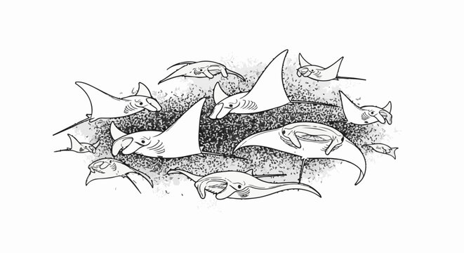 A flock of manta rays swim through a speckled underwater scene