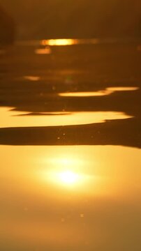 Abstract sea summer ocean sunset nature background. Small waves on golden water surface in motion blur with golden bokeh lights from sun. Holiday, vacation and recreation. Weather and climate change