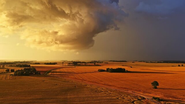 Aerial parallax drone shot above vast golden harvested grain fields at sunset in rural Latvia as dramatic supercell storm cloud wall looms over flat agricultural plains