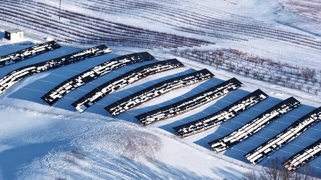 Drone view of a snow-covered solar farm in winter countryside, showing photovoltaic rows, leafless trees, and clean electricity infrastructure in a cold seasonal landscape.