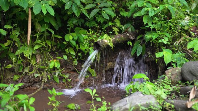Green surroundings with water flow at Jagir Waterfall, East Java, Indonesia