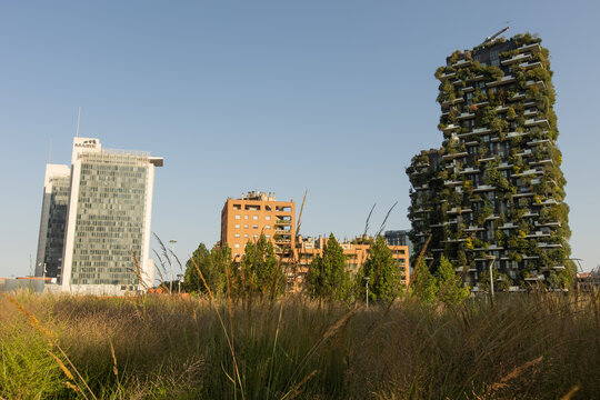 Milan, Italy - August 16, 2025: The skyscrapers of Porta Nuova, including the Bosco Verticale and Maire Tecnimont building, rise above the wild grasses of the Biblioteca degli Alberi park.