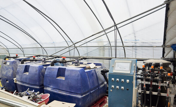 An automated hydroponic nutrient distributor in a greenhouse. Large blue tanks mix fertilizers, while a touchscreen controller and flow meters ensure precise nutrient delivery for optimal crop growth.