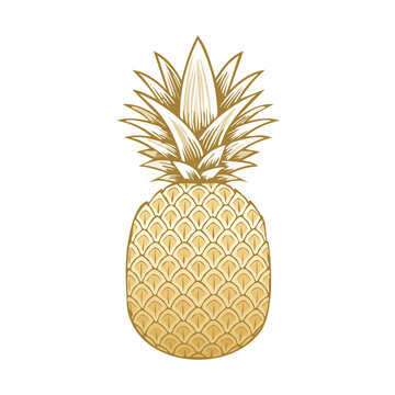 Golden Pineapple Fruit With Spiky Crown Top