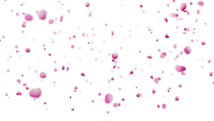 Naklejka premium Pink flower petals falling on a transparent background, perfect for romantic or spring themed projects