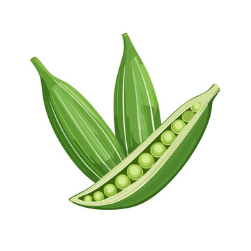 Fresh green okra pods with one sliced open revealing seeds and peas