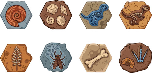 Fossil Collection Featuring Dinosaur Bones, Shells, Insects, and Plant Imprints © Hosneara