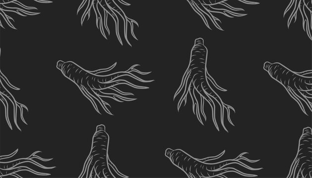 Ginseng Seamless Pattern. Handdrawn Root Illustration. Herbal Botanical Background. for Packaging Textile Design