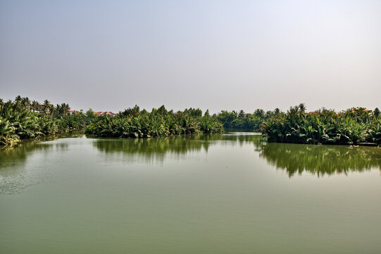 Tropical river lined with lush palm trees