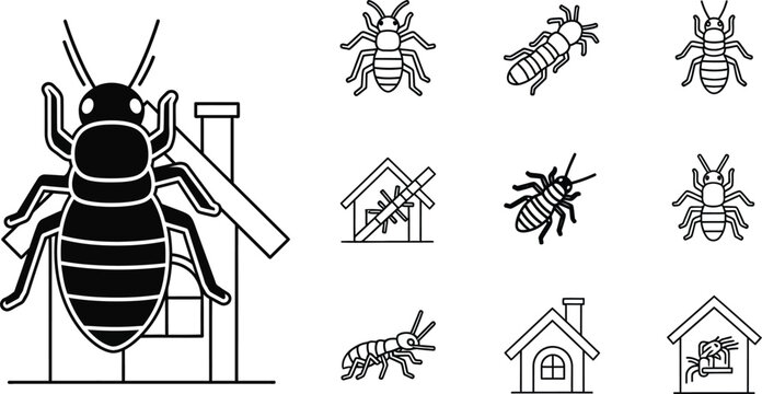 Black and white of cockroaches and houses insects pests home
