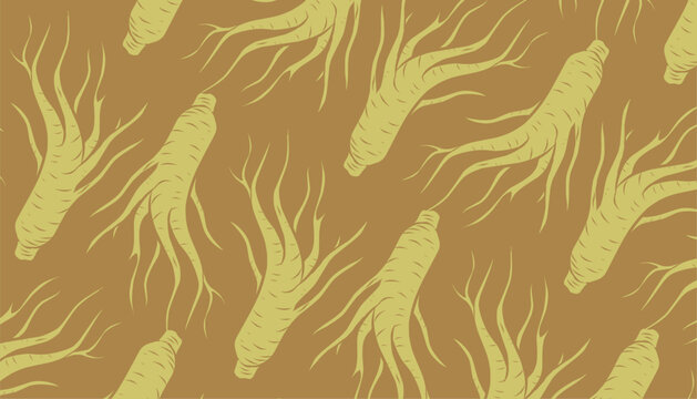 Ginseng Seamless Pattern. Handdrawn Root Illustration. Herbal Botanical Background. for Packaging Textile Design