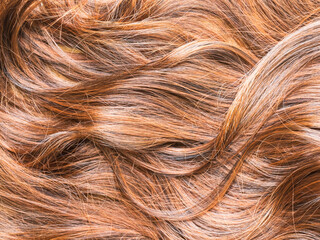 Naklejka premium Brown hair hairy background, health beauty concept, scalp hair woman clean and clear dandruff, close up brown hair healty non problem, lifestyle medical hygiene care head.