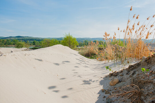 View of sand dunes with dry reeds and green trees under a clear blue sky near the Danube river Futog, Vojvodina, Serbia.