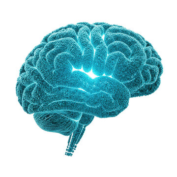 detailed sagittal view of the human brain, built from glowing cyan and teal spheres, illustrating anatomical lobes against a stark white background, futuristic schematic visualization