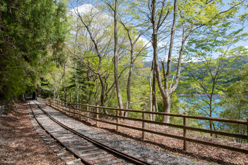 Obraz premium 井川湖畔遊歩道 廃線小路の新緑と線路のノスタルジックな風景( Nostalgic abandoned railway path with fresh green leaves along Lake Ikawa, Shizuoka Japan)