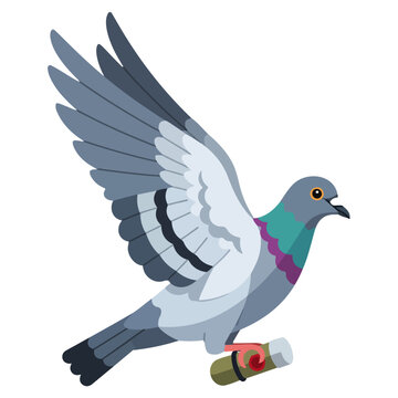 flying homing carrier pigeon flat vector illustration template