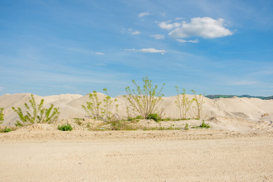 View of sand dunes and green shrubs under a clear blue sky with soft white clouds Futog, Vojvodina, Serbia.