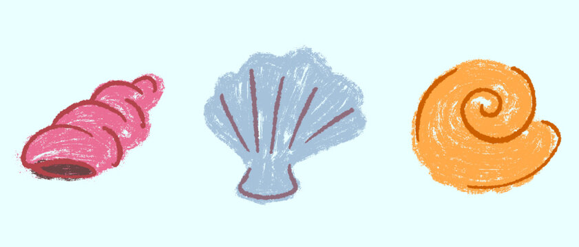 Collection of three hand-drawn seashells in textured crayon style. Decorative pink, blue, and orange sea shells ideal for beach themed children book designs, nursery prints and summer graphics.