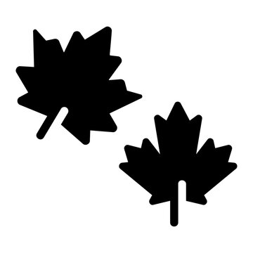 Maple leaf Solid icon