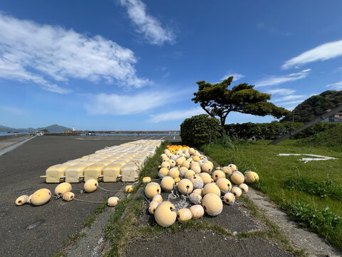 漁業用フロートと松の木と港の風景