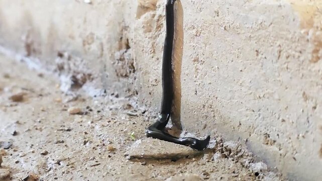 

Black Hammerhead Worm (Bipalium) crawling on a light concrete surface #002

