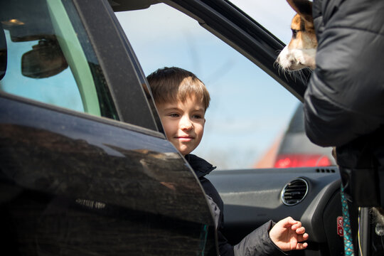 Happy boy in a car looking at his Corgi dog before a road trip.