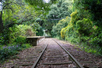 Obraz premium 旧国鉄倉吉線廃線跡 竹林の中に残る線路と幻想的な風景（Abandoned railway tracks remaining in the beautiful bamboo forest, Kurayoshi Japan）