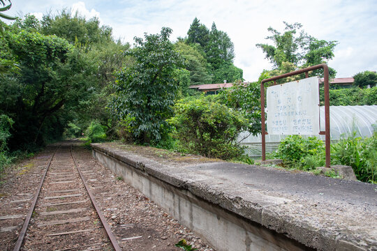 旧国鉄倉吉線廃線跡 竹林の中に残る線路と幻想的な風景（Abandoned railway tracks remaining in the beautiful bamboo forest, Kurayoshi Japan）