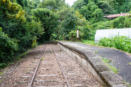 旧国鉄倉吉線廃線跡 竹林の中に残る線路と幻想的な風景（Abandoned railway tracks remaining in the beautiful bamboo forest, Kurayoshi Japan）