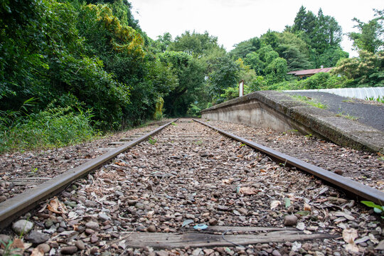 旧国鉄倉吉線廃線跡 竹林の中に残る線路と幻想的な風景（Abandoned railway tracks remaining in the beautiful bamboo forest, Kurayoshi Japan）