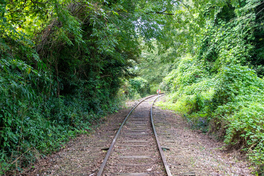 旧国鉄倉吉線廃線跡 竹林の中に残る線路と幻想的な風景（Abandoned railway tracks remaining in the beautiful bamboo forest, Kurayoshi Japan）